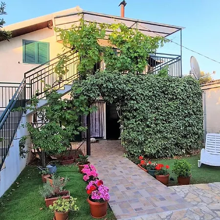 My Dalmatia - Franka Near The *