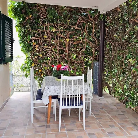 My Dalmatia - Franka Near The