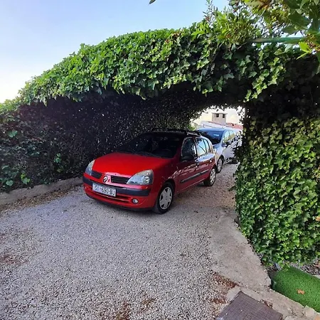 My Dalmatia - Franka Near The *