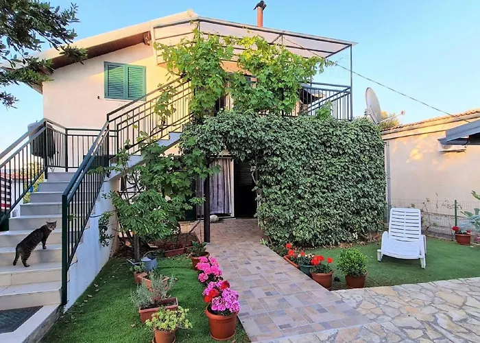 My Dalmatia - Franka Near The *