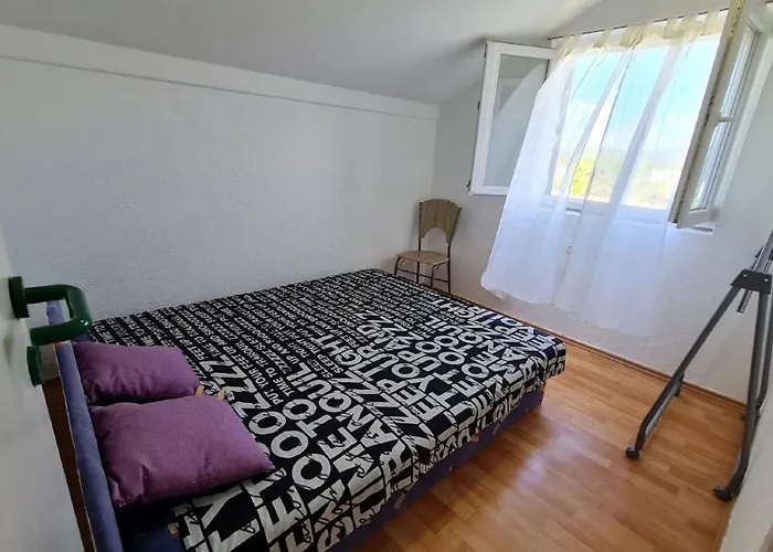 My Dalmatia - Franka Near The Šibenik