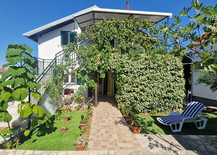 My Dalmatia - Franka Near The *